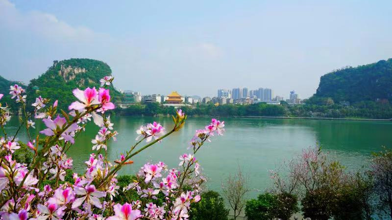 图丨《治理后的九洲江》