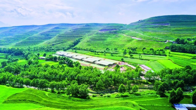 "无废城市"巡礼(58)丨西宁市农牧业高质量发展的生态牧场模式_中华