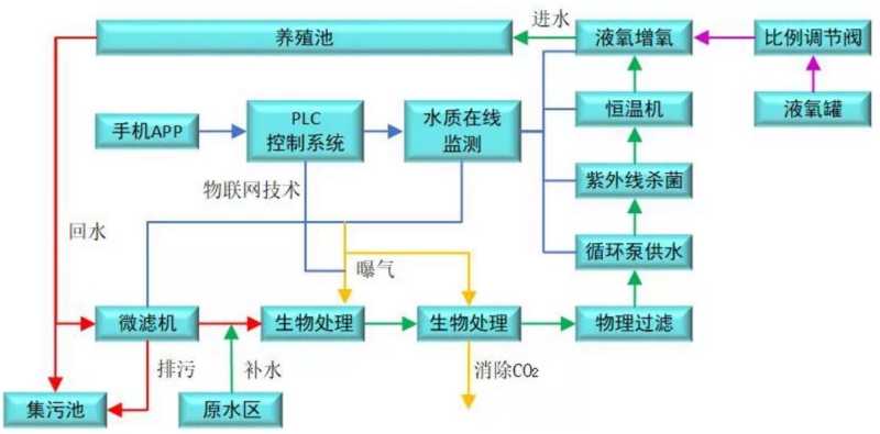 循环水养殖系统工艺流程图