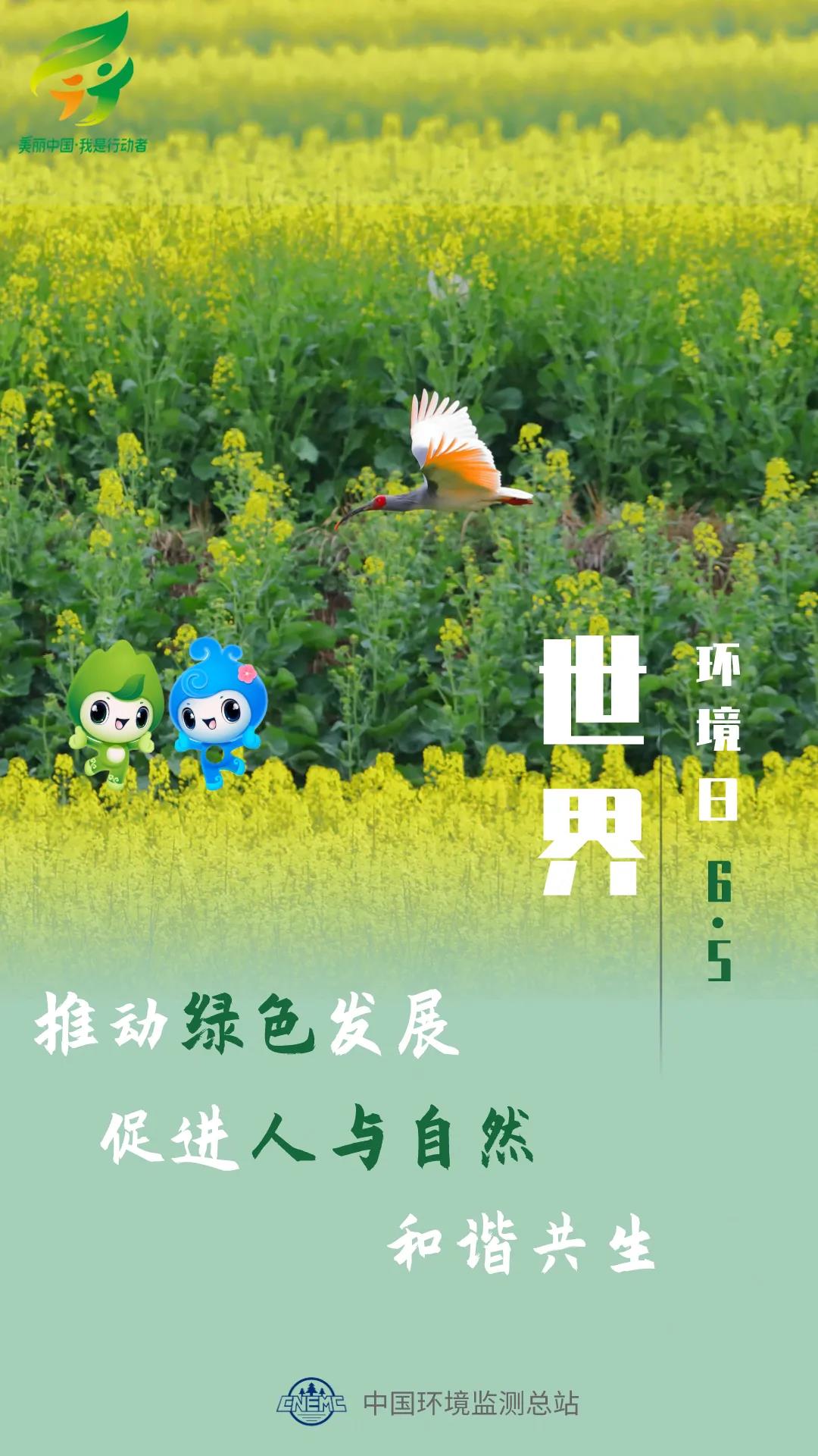 六五环境日主题海报中国环境监测总站