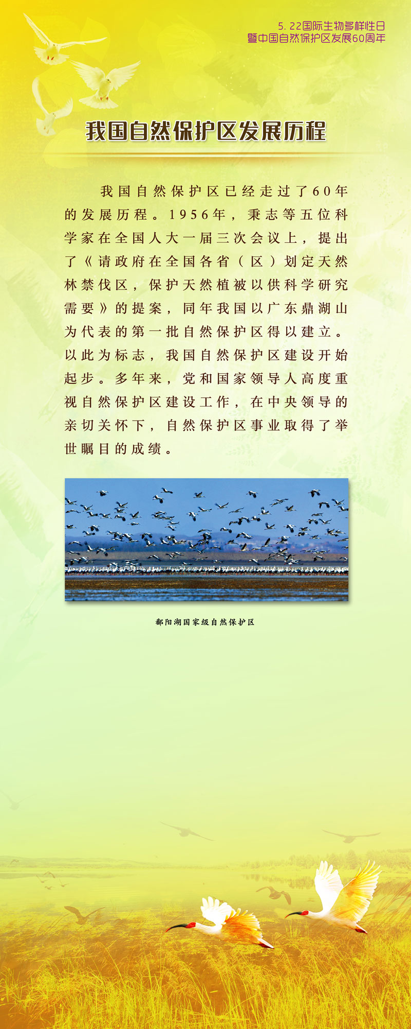 4-环保展板2MX0.jpg