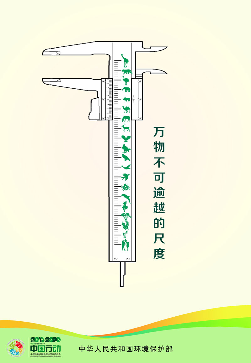 2016生多招贴-55555555555.jpg