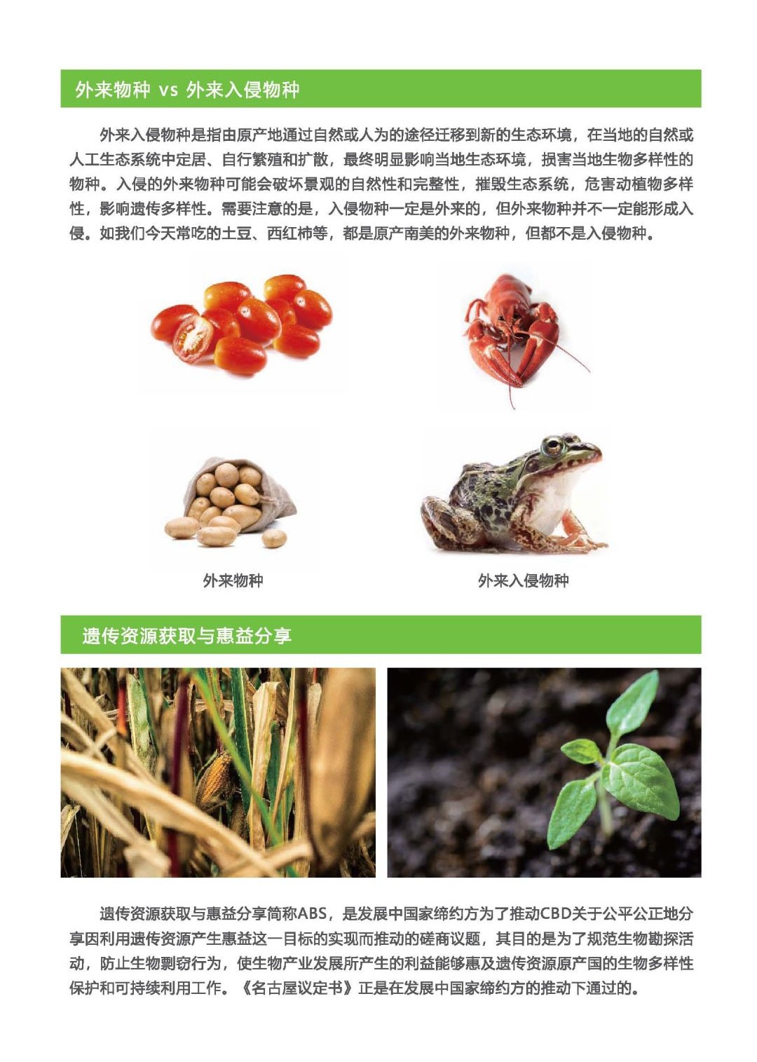 生物多样性小百科（六）.jpg