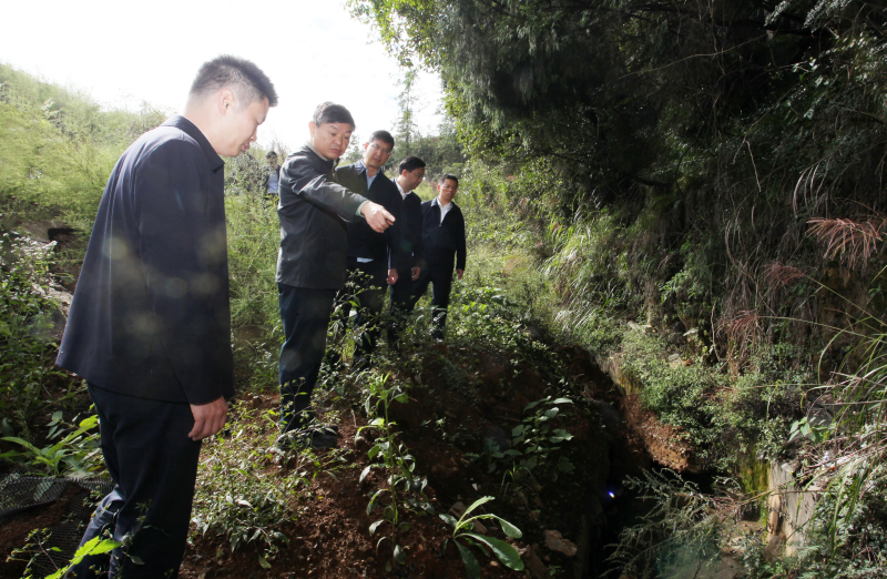 生态环境部部长黄润秋赴湘黔渝调研锰污染治理工作