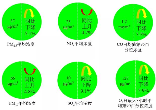 新闻发布