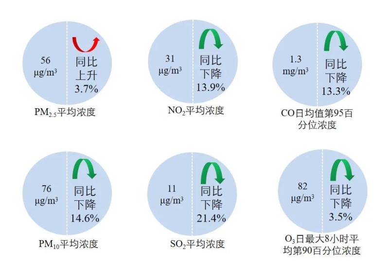 新闻发布