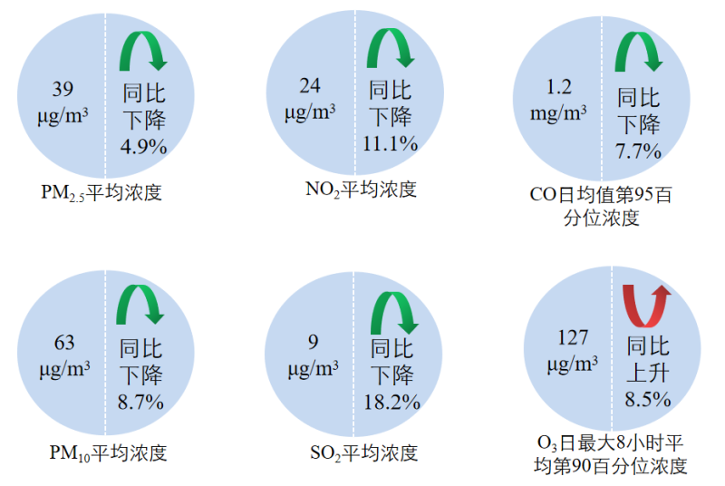 新闻发布