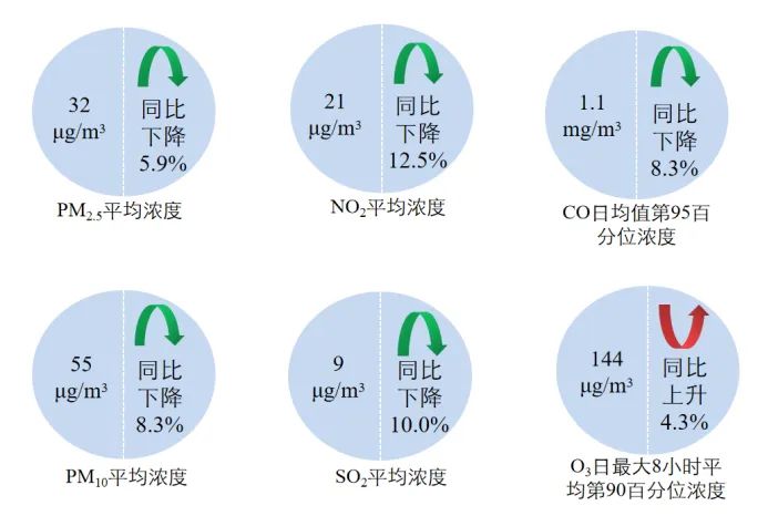 新闻发布