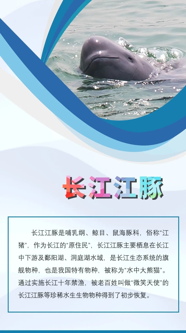 新闻发布