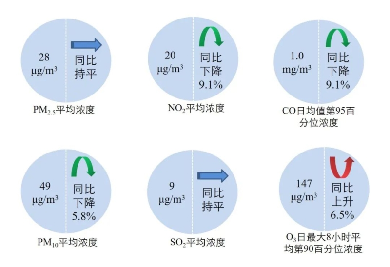 新闻发布
