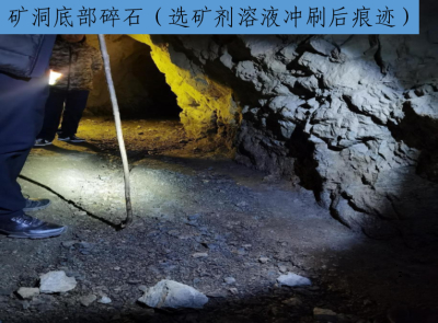 新闻发布