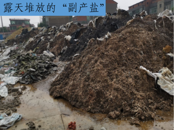新闻发布