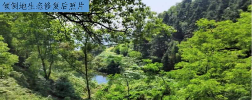 新闻发布