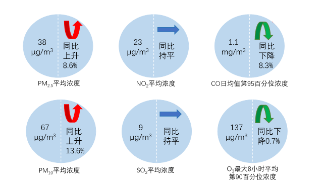 新闻发布