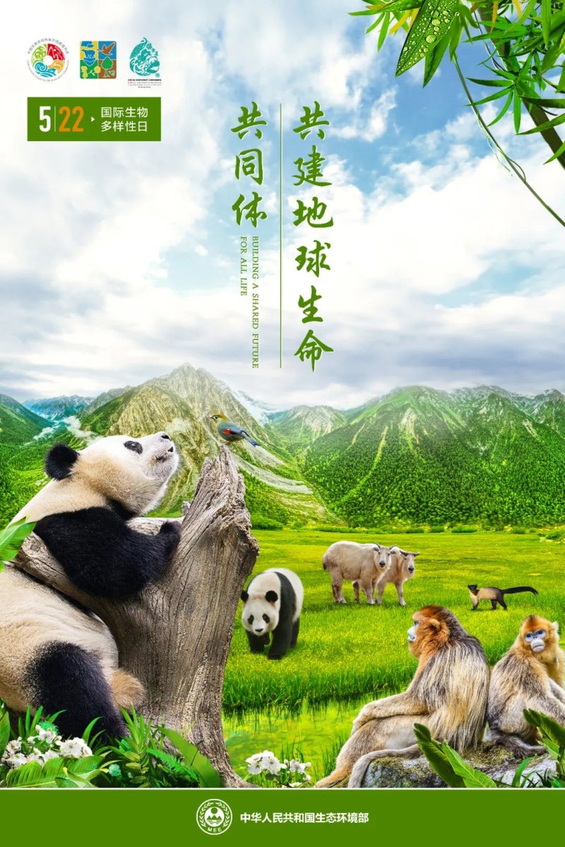 生态环境部发布2022年国际生物多样性日宣传海报